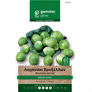 Σπόρος Λαχανάκι Βρυξελλών