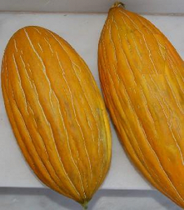 Σπόρος Πεπόνι Amarillo Rugoso