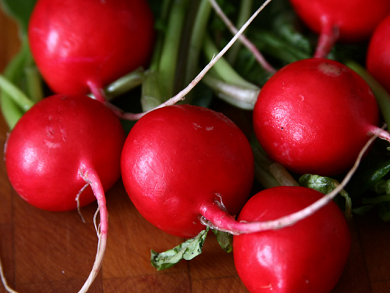 Σπόρος Ραπάνι Στρογγυλό Μεγάλο Red Top Giant