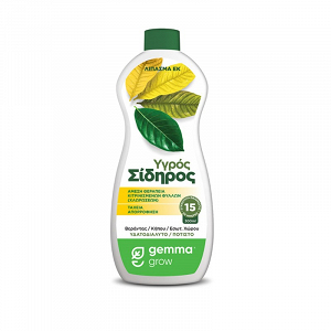 Υγρός Σίδηρος Gemma 300 ml