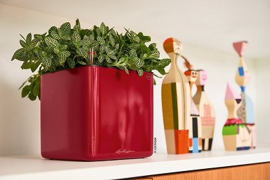 Αυτοποτιζόμενη Επιτραπέζια Γλάστρα Lechuza Cube Glossy