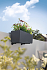 Άγκιστρα Τοίχου Lechuza Για Balconera Color-Cottage-Stone-Steel