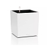Αυτοποτιζόμενη Γλάστρα Lechuza Cube Color