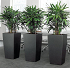 Αυτοποτιζόμενη Γλάστρα Lechuza Cubico Premium