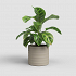 Πήλινο Κασπώ Artevasi Chloe Horizontal Pot