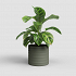 Πήλινο Κασπώ Artevasi Chloe Horizontal Pot