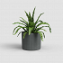 Πήλινο Κασπώ Artevasi Chloe Vertical Pot