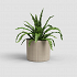 Πήλινο Κασπώ Artevasi Chloe Vertical Pot