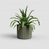 Πήλινο Κασπώ Artevasi Chloe Vertical Pot