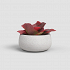 Πήλινο Κασπώ Artevasi Hemera Bowl