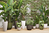 Πλαστική Γλάστρα Artevasi Havana Natural Pot