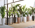 Πλαστική Γλάστρα Artevasi Havana Tropical High Pot