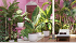 Πλαστική Γλάστρα Artevasi Havana Tropical Pot