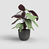 Πλαστική Γλάστρα Artevasi Havana Tropical Pot