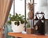 Πλαστική Γλάστρα Artevasi Havana Tropical Pot