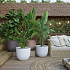 Πλαστική Γλάστρα Artevasi Havana Tropical Pot