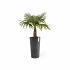 Πλαστική Γλάστρα Ecopots Amsterdam High