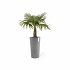 Πλαστική Γλάστρα Ecopots Amsterdam High
