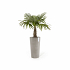 Πλαστική Γλάστρα Ecopots Amsterdam High