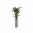 Πλαστική Γλάστρα Ecopots Amsterdam Medium High