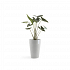 Πλαστική Γλάστρα Ecopots Sankara High