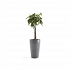 Πλαστική Γλάστρα Ecopots Sankara High