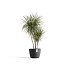 Πλαστική Γλάστρα Ecopots Stockholm Large
