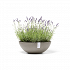 Πλαστική Γλάστρα Ecopots Vienna