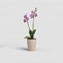Πλαστική Γλάστρα-Κασπώ Για Ορχιδέες Artevasi Fiji Orchid Pot