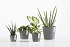 Πλαστική Γλάστρα-Κασπώ Ecopots Amsterdam Mini