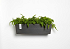 Πλαστική Επιτοίχια Σύνθεση Ecopots Manhattan Wall