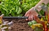 Σύνδεσμος Λάστιχου Ποτίσματος 13 mm Gardena 13203