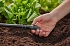 Τάπα Micro-Drip Gardena 13 mm 13205