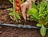 Σύνδεσμος T Micro-Drip 13mm σε 4,6 mm Gardena 13204