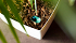 Σύστημα Αυτοποτισμού Artevasi Hydrum Self Watering System