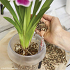 Υπόστρωμα Φύτευσης Ορχιδέων Lechuza Orchidpon 3 Lt