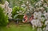 Αυτορυθμιζόμενος Ακριανός Σταλάκτης Gardena Micro Drip 2 Lt/h 13302-20
