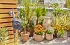 Προγραμματιστής Ποτίσματος Gardena EasyPlus 1897-20