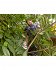 Ηλεκτρικό Μπορντουροψάλιδο Black & Decker BEHTS451-QS 550W, 60 cm