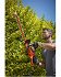 Ηλεκτρικό Μπορντουροψάλιδο Black & Decker BEHTS551-QS 650W Με Περιστρεφόμενη Λαβή