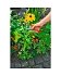 Κλαδευτήρι Wolf Garten RS 2500