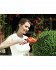 Ψαλίδι Μπορντούρας Μπαταρίας Black & Decker GSL700-QW