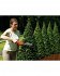 Ψαλίδι Μπορντούρας Μπαταρίας Black & Decker GSL700-QW
