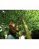 Ηλεκτρικό Τηλεσκοπικό Αλυσοπρίονο Black & Decker PS7525-QS 800W