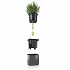 Αυτοποτιζόμενη Μαγνητική Ζαρντινιέρα Lechuza Green Wall Home Kit Glossy